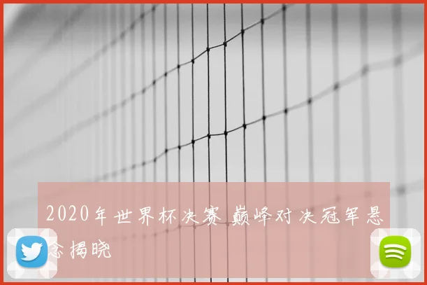 2020年世界杯决赛 巅峰对决冠军悬念揭晓