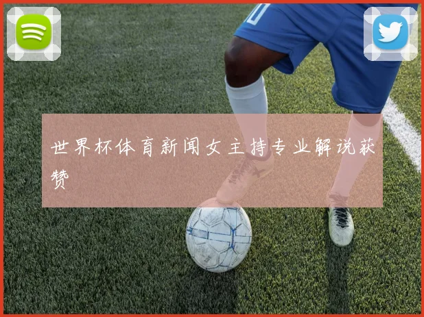 世界杯体育新闻女主持专业解说获赞