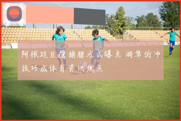 阿根廷巨鹰捕猎方式曝光 游隼俯冲技巧成体育资讯焦点
