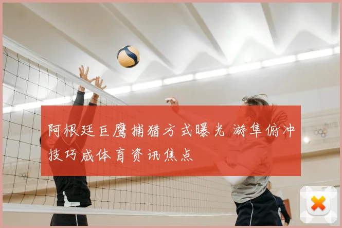 阿根廷巨鹰捕猎方式曝光 游隼俯冲技巧成体育资讯焦点