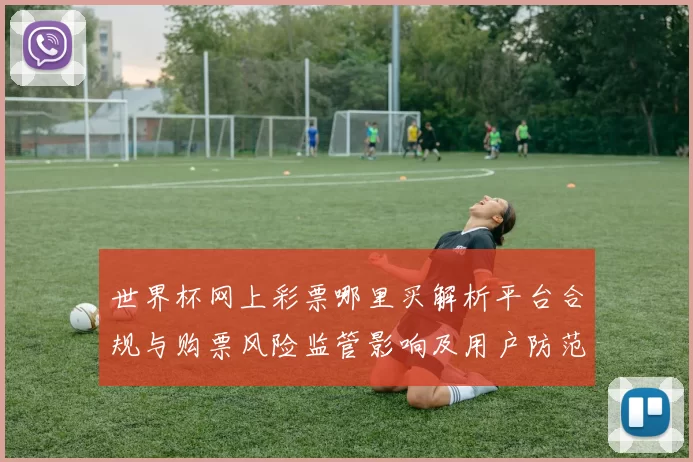 世界杯网上彩票哪里买解析平台合规与购票风险监管影响及用户防范建议