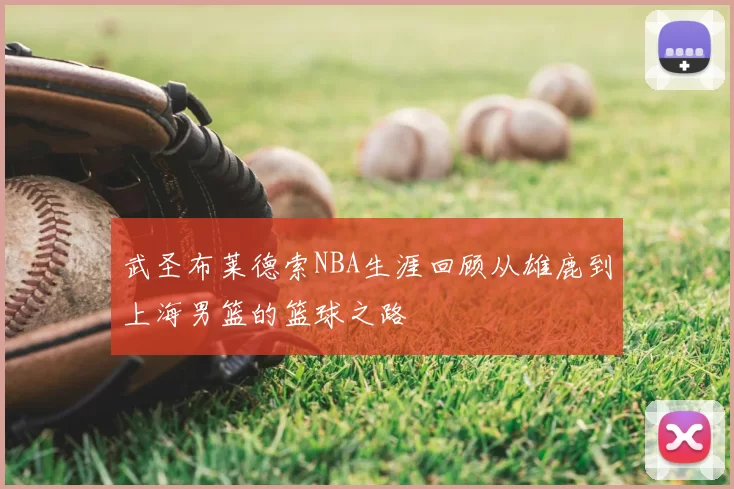 武圣布莱德索NBA生涯回顾从雄鹿到上海男篮的篮球之路