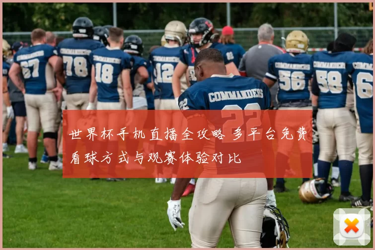 世界杯手机直播全攻略 多平台免费看球方式与观赛体验对比